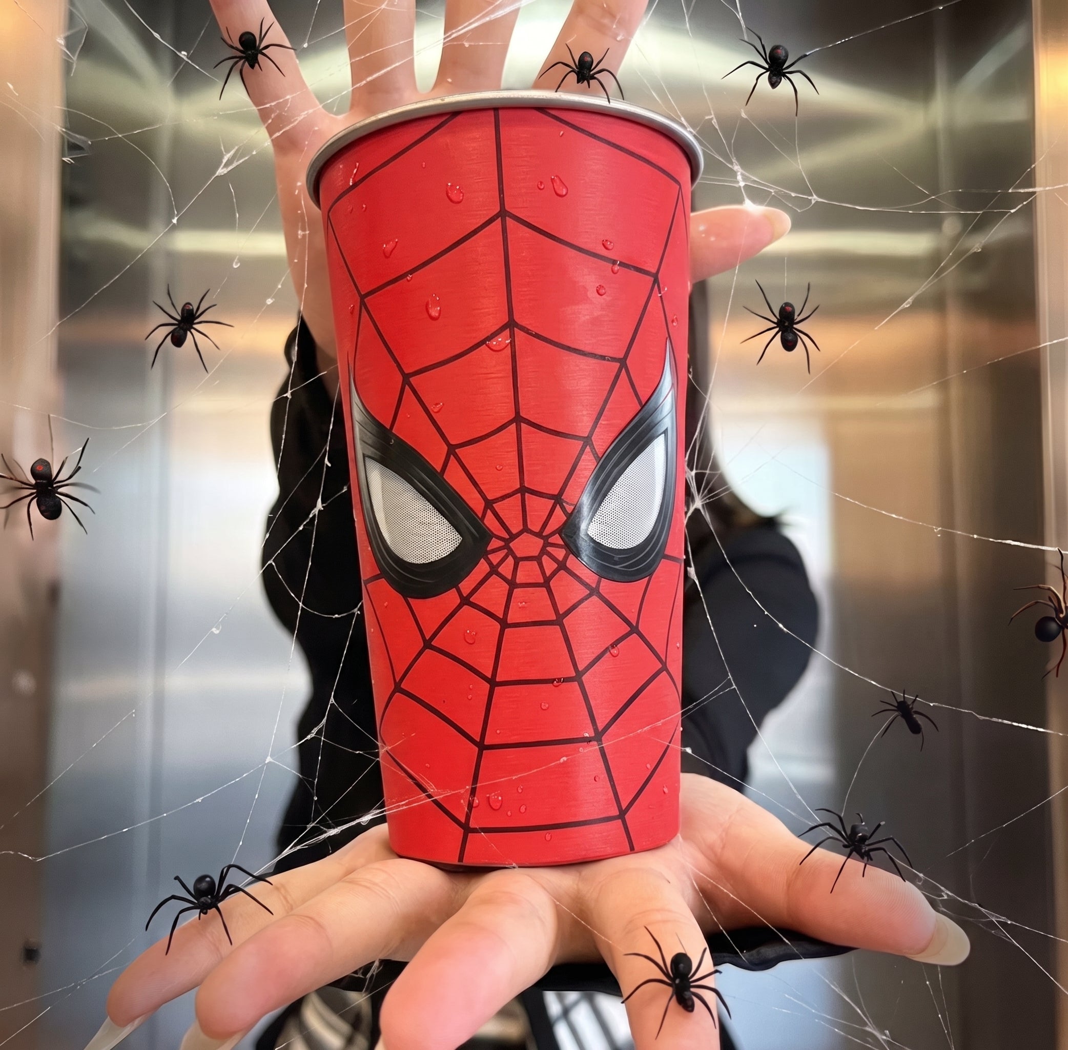 BND Spider Cup